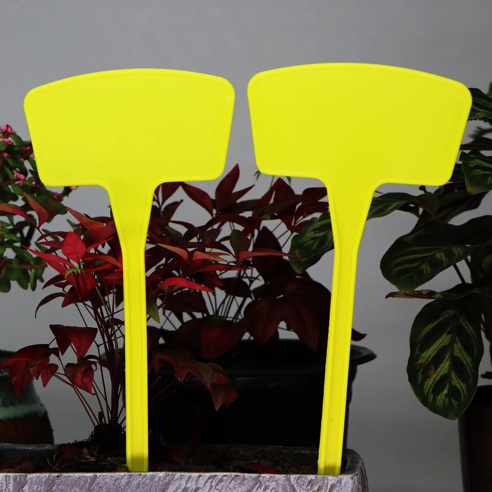 Two bright yellow T-shaped plant markers standing in a potted plant display.