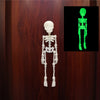 A pair of luminous magnetic poseable skull fridge magnets, showing a white anatomical skeleton and a green anatomical skeleto