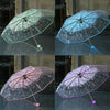 Eine Sammlung von drei klaren Regenschirmen mit floralen Designs in grün, blau und rosa Tönen.