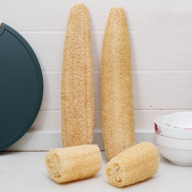 Three natural loofah exfoliating body sponges in various lengths and a round sponge are displayed on a white surface.