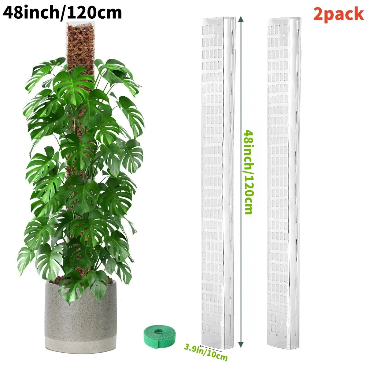 2er Set aus Moosstäben (48 Zoll) für Zimmerpflanzen, eine Pflanze wächst an einem Stock und der andere steht senkrecht