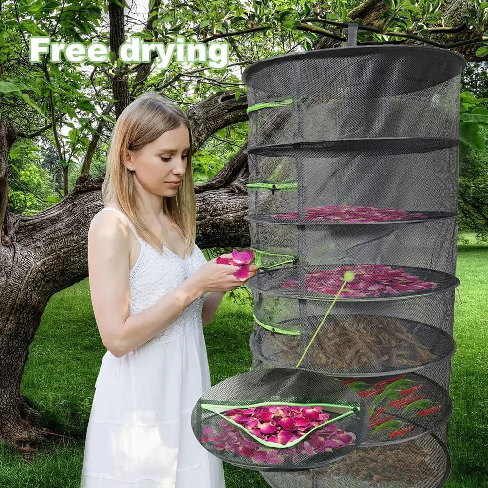 A woman is using a multi-layer mesh rack for free drying herbs outdoors.