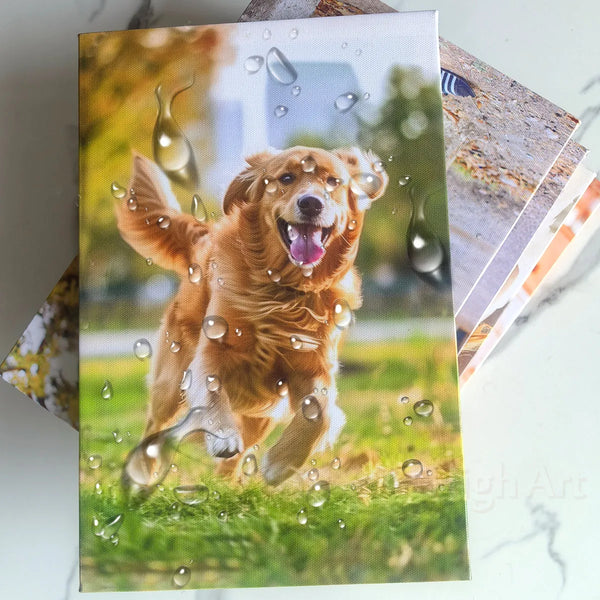A golden retriever dog running through wet grass, captured with water droplets.