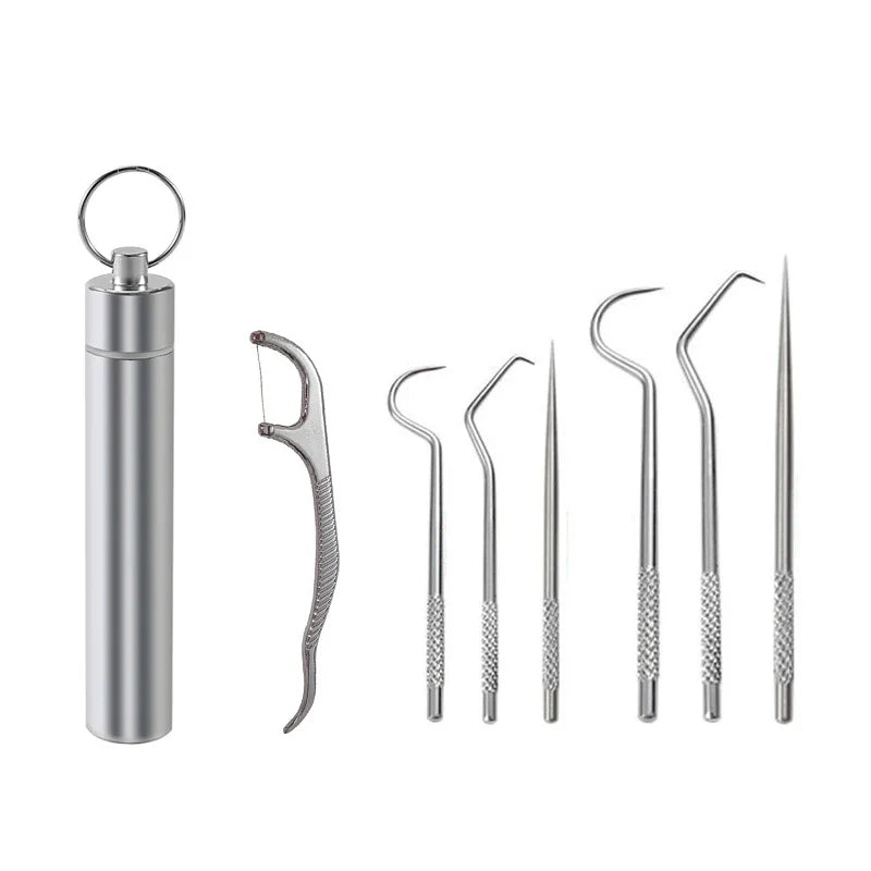 Stainless steel reusable toothpick set with a metal holder and several slender toothpicks