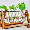 Una estación de propagación de madera contiene varios viales de vidrio con esquejes de plantas verdes creciendo en agua.