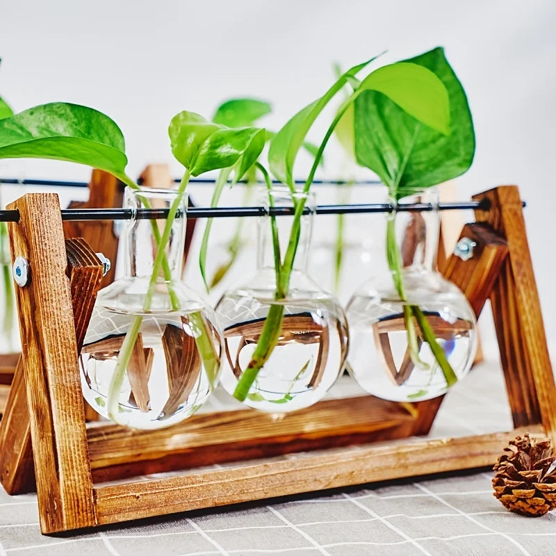 Una estación de propagación de madera contiene varios viales de vidrio con esquejes de plantas verdes creciendo en agua.