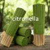 Green citronella oil sticks standing upright on a wooden surface with fresh greenery in the background.