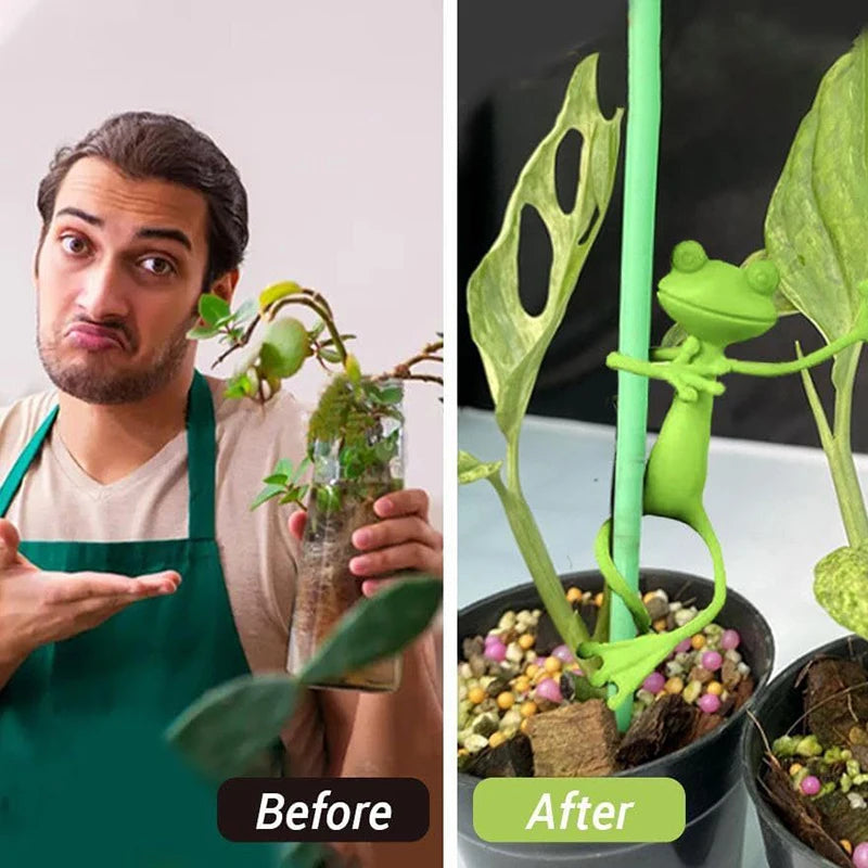 Before and after comparison of a frog shaped plant support and vine holder