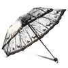 A black and white patterned retro transparent folding umbrella open against a white background.