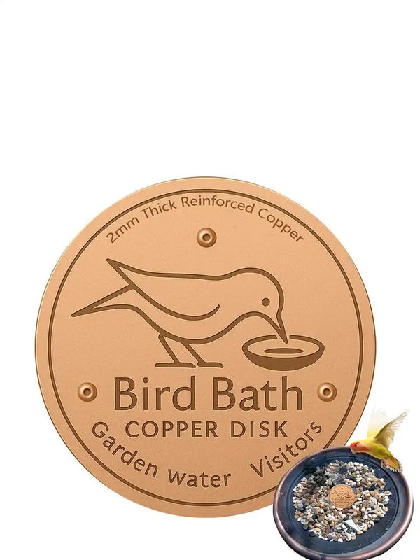 A round copper disk bird bath for garden water with a bird silhouette design.