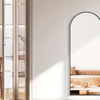 A full length arch mirror with an aluminum frame reflecting a room interior and a potted plant.