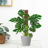 Leuchtend grüne Monstera-Pflanze in grauem Topf mit verstellbarem Kunststoff-Moosstab für den Indoor-Garten.