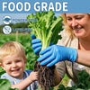 A woman and a child are harvesting leafy greens in a field, demonstrating food grade powder-free latex-free produce.