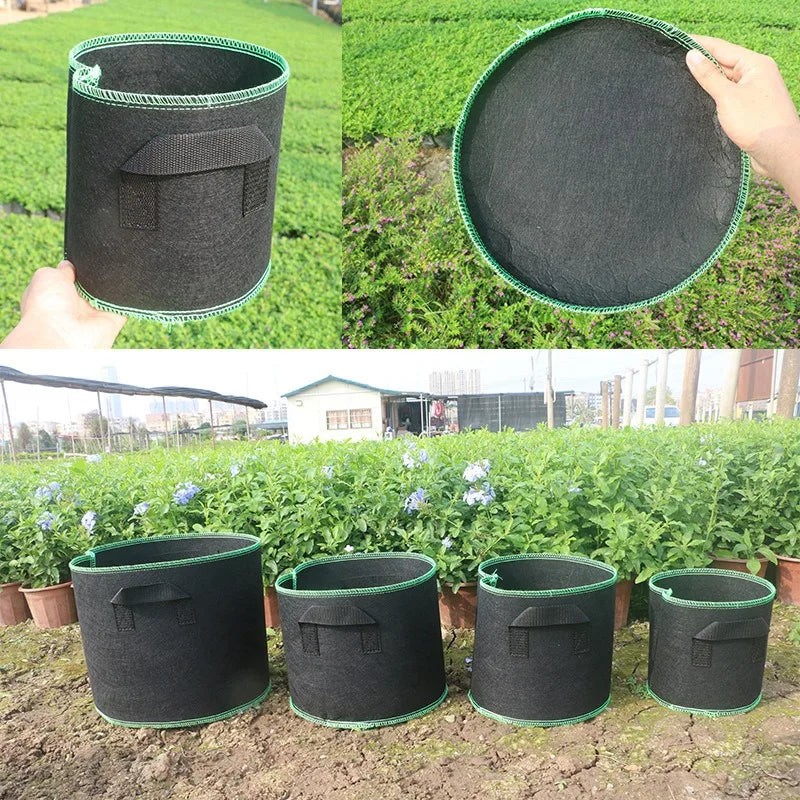 Mehrere schwarze nichtgewebte Pflanzen-Growbeutel mit grünem Rand in verschiedenen Ansichten.