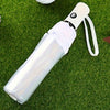 A white automatic transparent folding umbrella is shown lying on green grass.