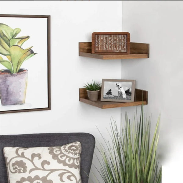 A display featuring a potted plant, framed art, and wooden shelves with a small framed picture.