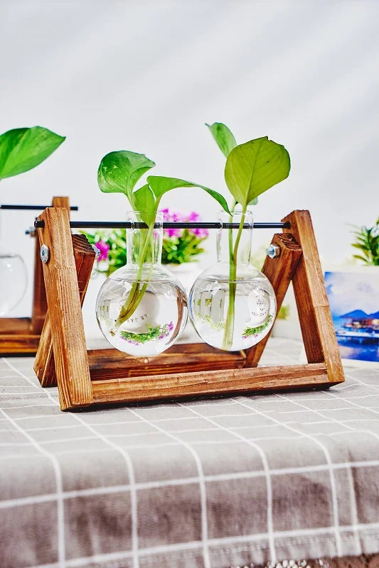 Una estación de propagación de madera sostiene dos frascos de vidrio con agua y esquejes de planta verde sobre un mantel blan