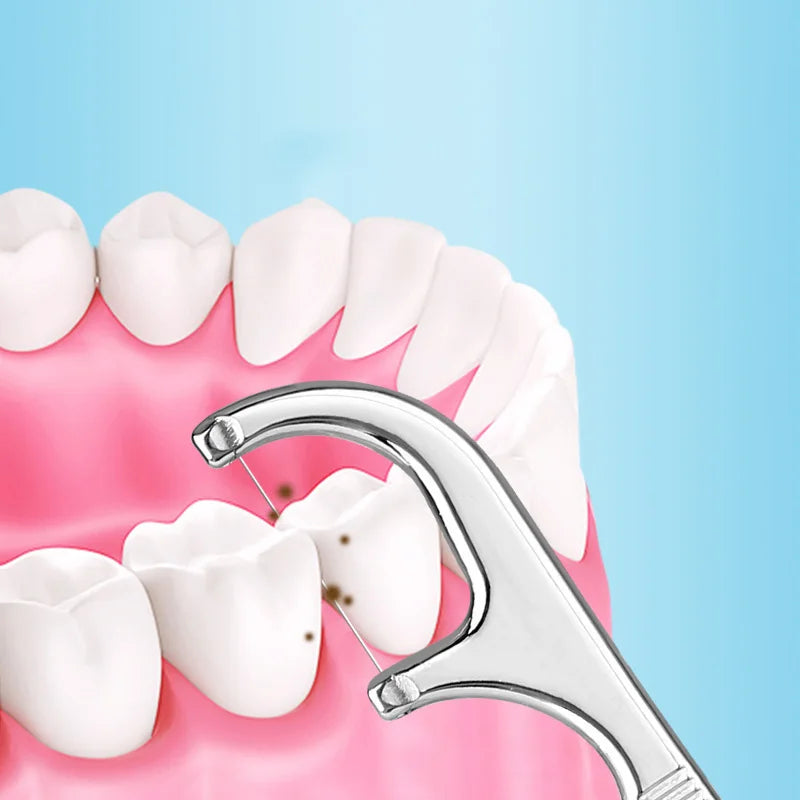 Stainless steel reusable toothpick set shown against a pink background with teeth.