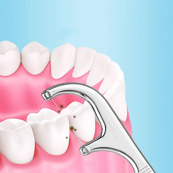 Stainless steel reusable toothpick set shown against a pink background with teeth.