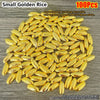 A pile of 100 small golden rice grains used as decorative ornaments.