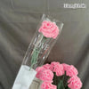 Un vase en verre transparent contenant une fleur de carnation rose et un bouquet de carnations en coton roses.