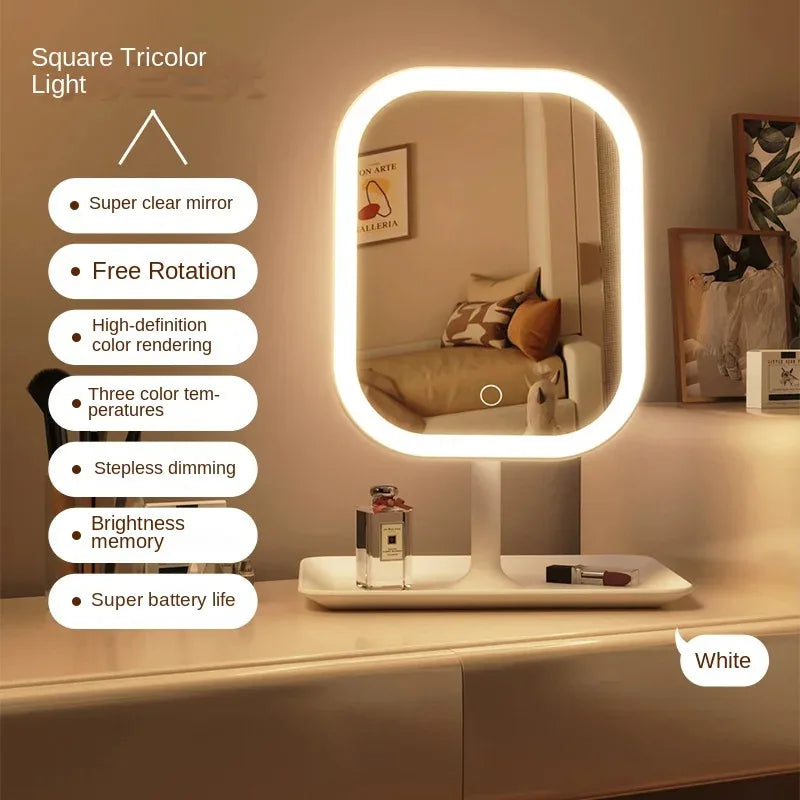 A white LED desktop vanity mirror with an oval light frame is displayed on a shelf.